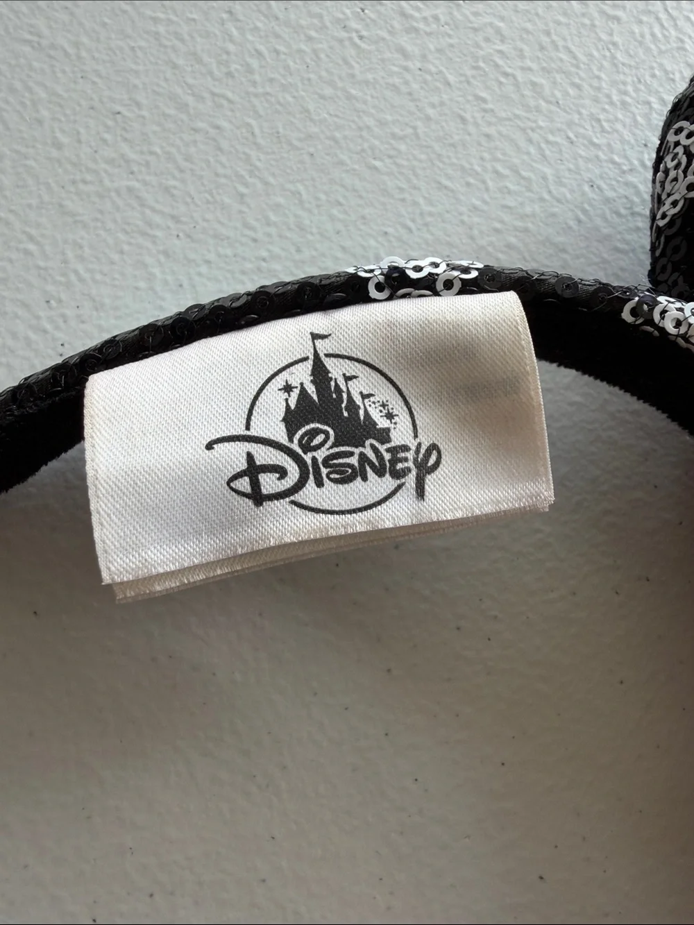 Disney lightweight costume